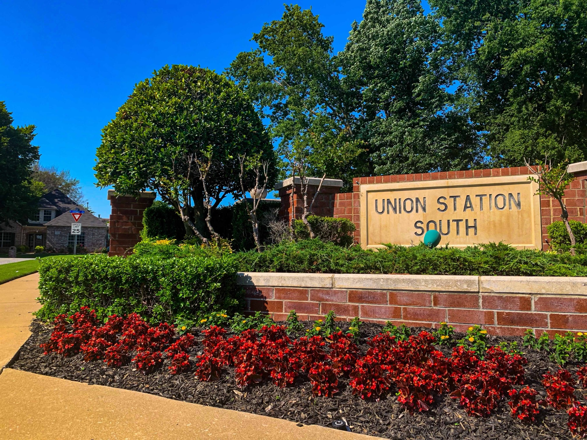 Park pathway and trees in neighborhood